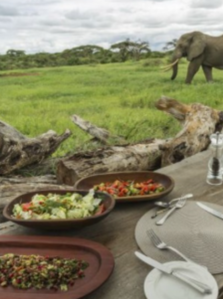 Addo Services