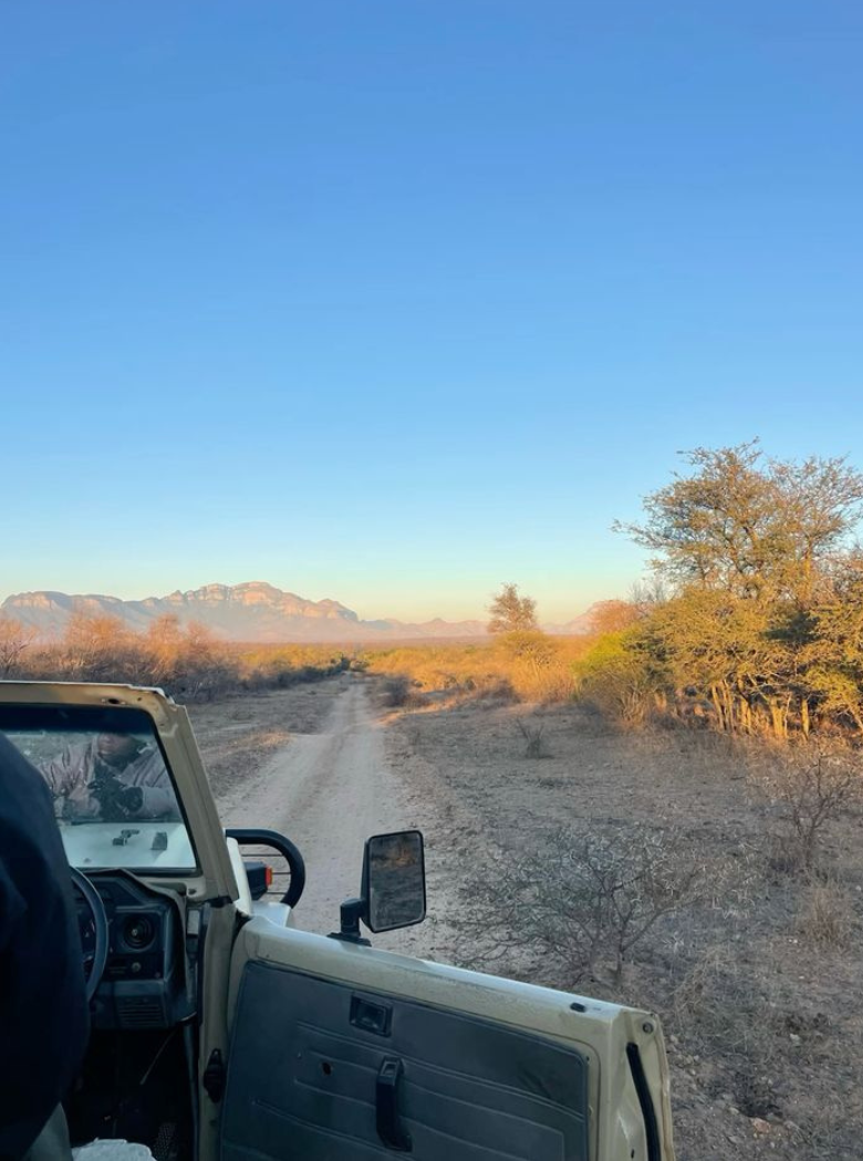 Game drives